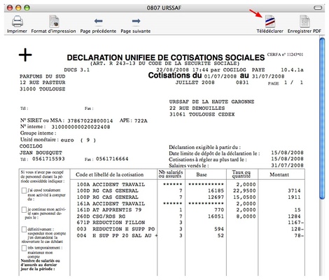 Cogilog Paye: Tldclarer et tlpayer ses dclarations sociales! (12) -- 21/01/09