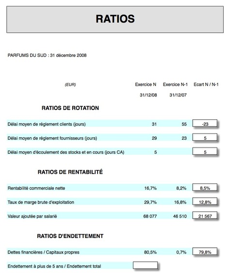 Ratios de gestion