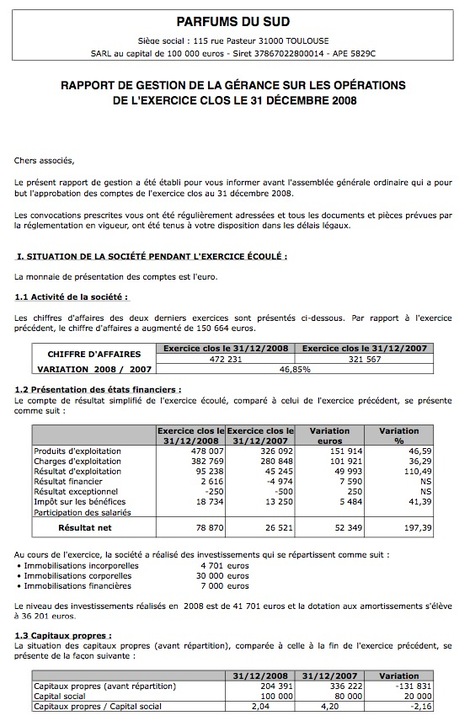 Raaport de gestion