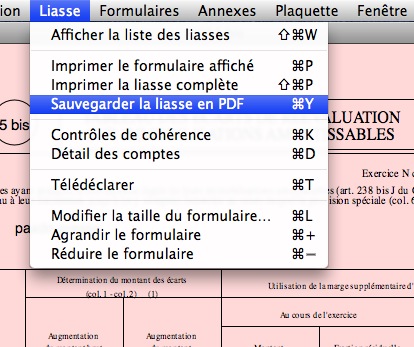 Sauvegarde de la liasse au format PDF