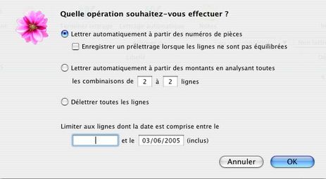 Le lettrage automatique dans Cogilog Compta