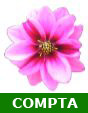 Logo de Cogilog Compta