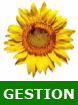 Logo de Cogilog Gestion
