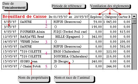 Le brouillard de caisse dans MacVet